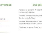 indo energy sunmax