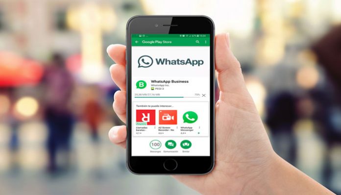 Whatsapp business