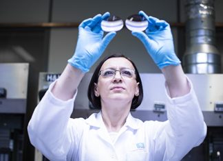 Essilor adqusiciones