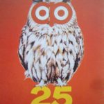 Póster de la Cruzada de Protección Ocular_2