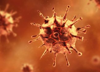 coronavirus
