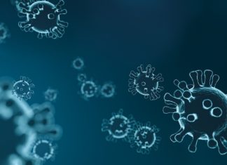 Coronavirus