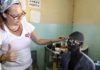 La Ruta de la Luz celebra sus primeros 20 años de servicio a la salud visual desde la cooperación